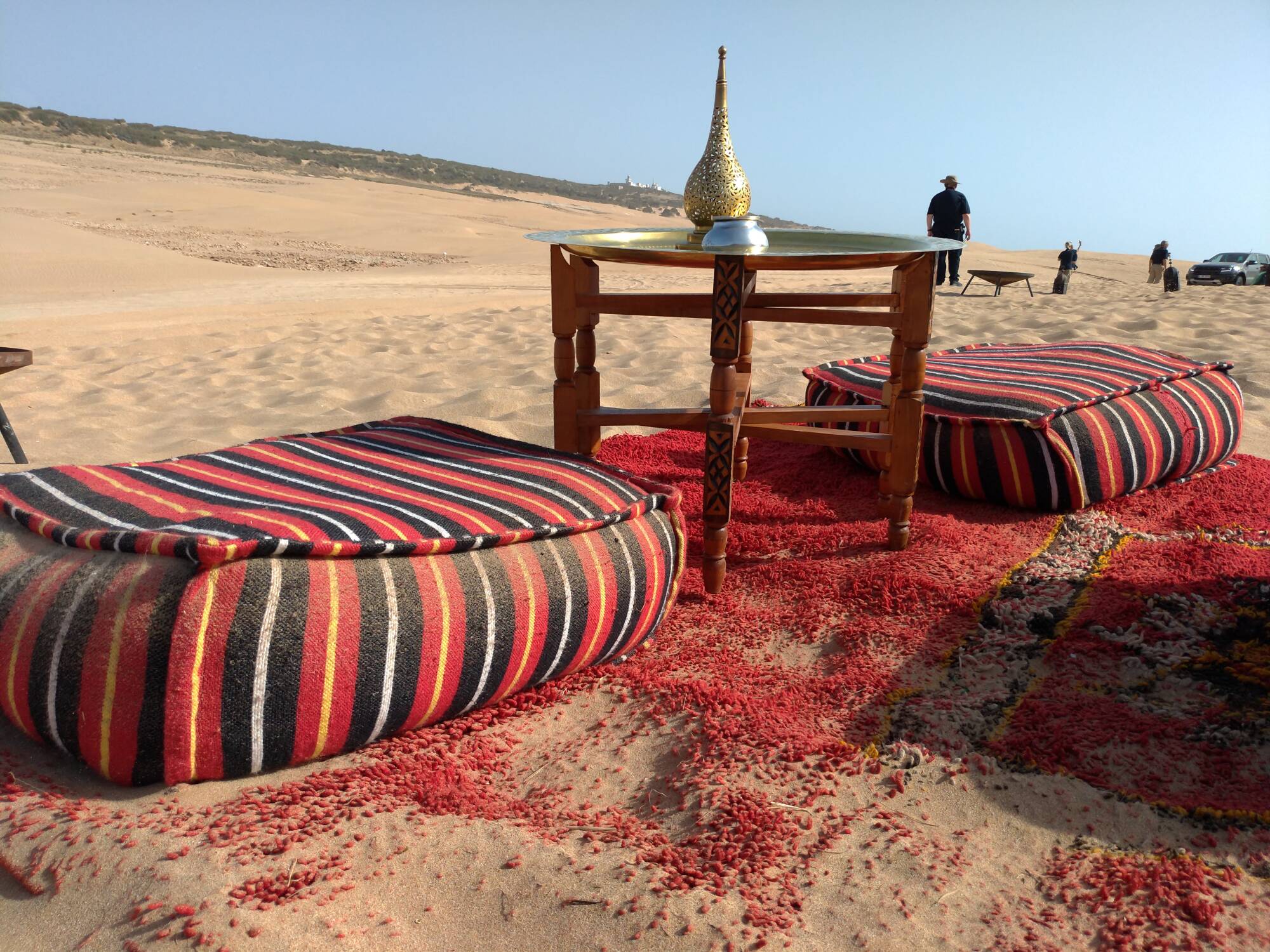 P 20190429 172230 thumb lg