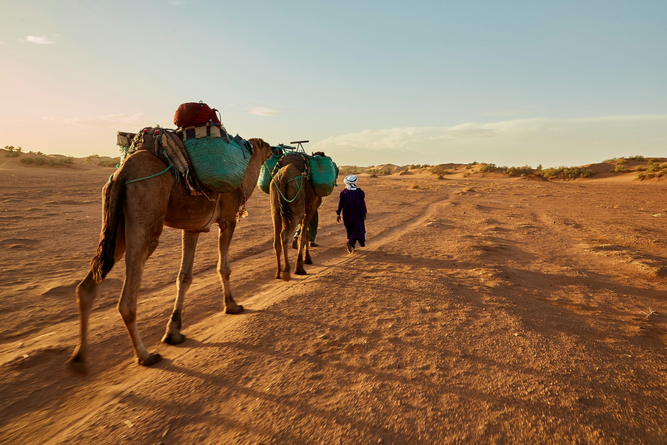 fabien bazanegue ysnW 9M7ZRY unsplash scaled