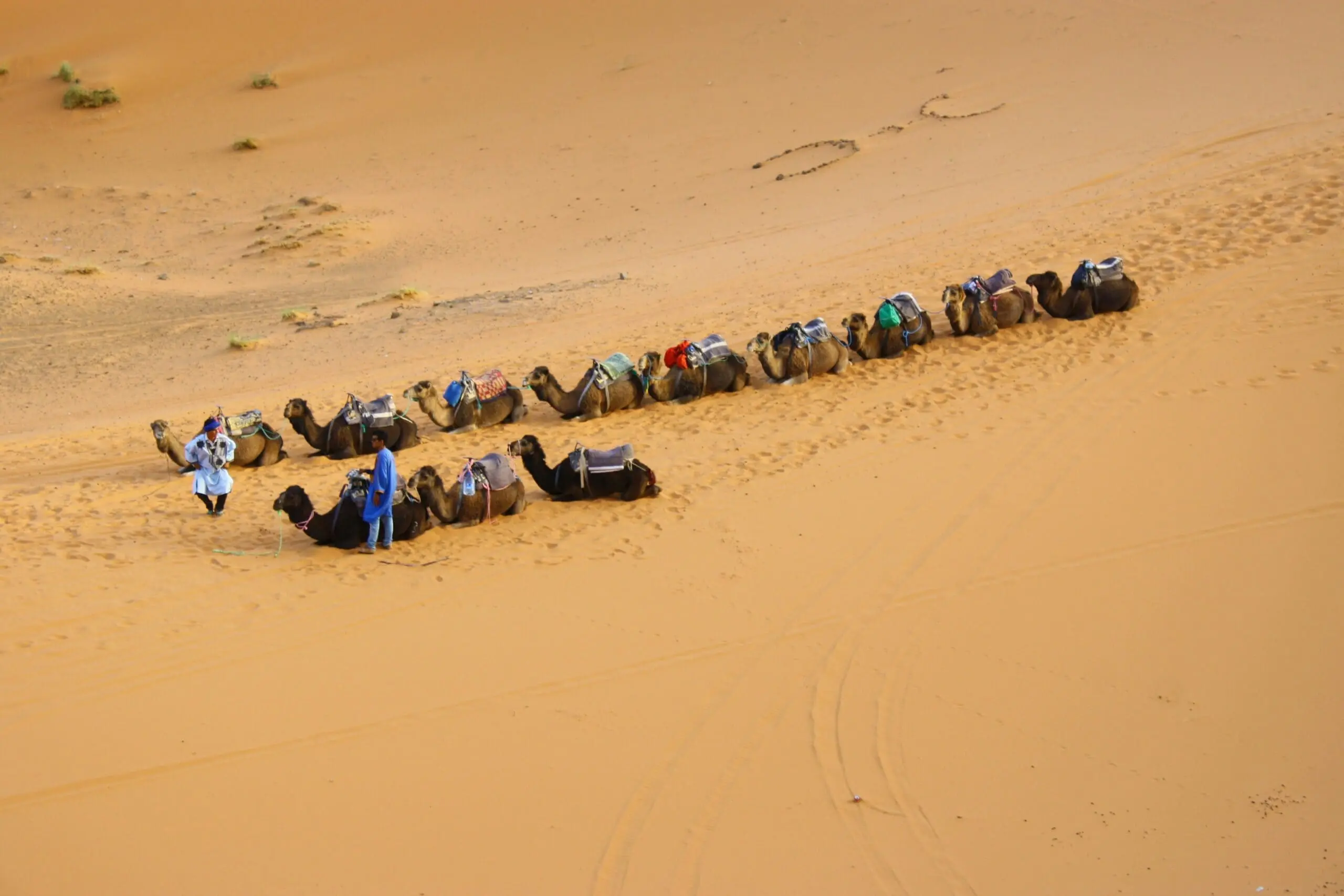 About us 2 Discover Morocco's Sahara Desert: Adventure Awaits