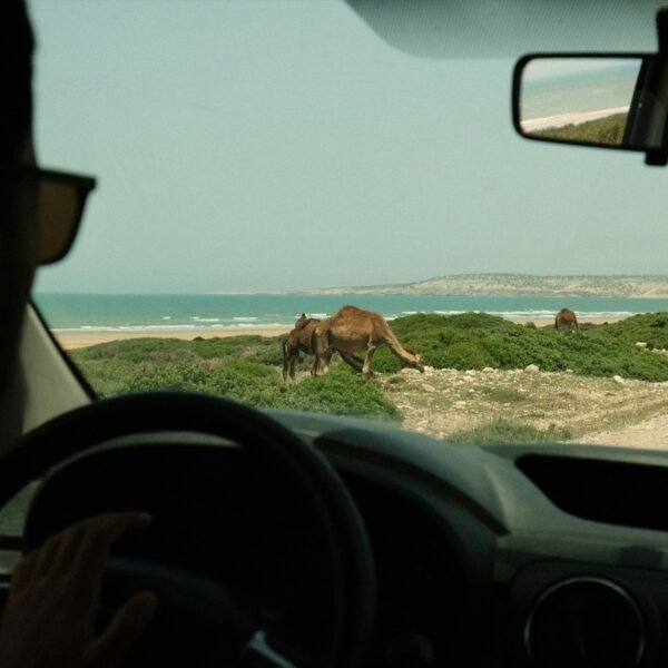 Grand Circuit du Maroc de 12 Jours