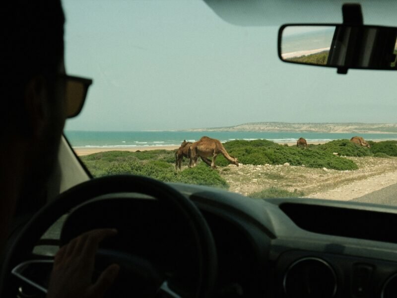 12 Days Grand Morocco Tour private Morocco tour photo 6
