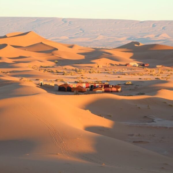2 Days Zagora Desert Tour from Marrakech cover image