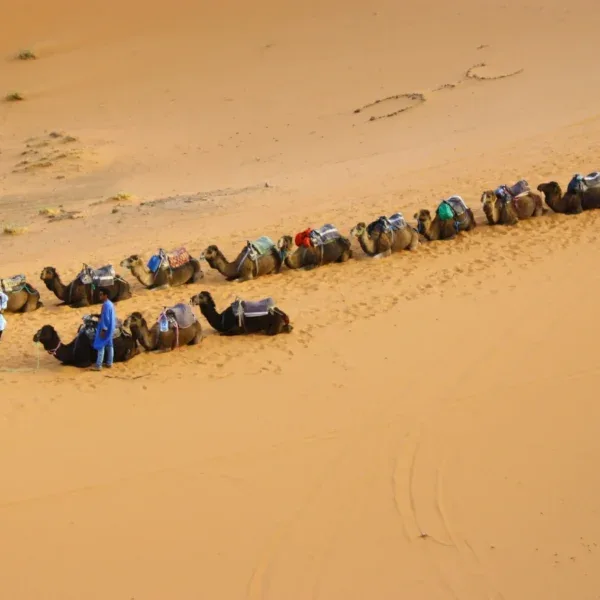 Circuit de 2 Jours dans le Désert de Zagora depuis Marrakech