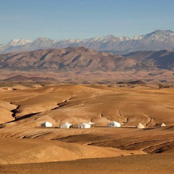 Agafay Desert Day Trip from Marrakech cover image