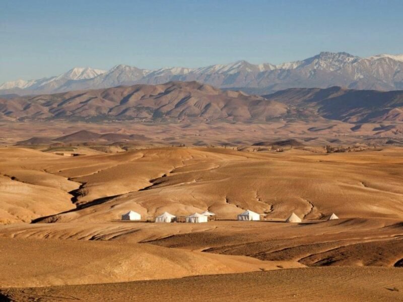 Agafay Desert Day Trip from Marrakech cover image
