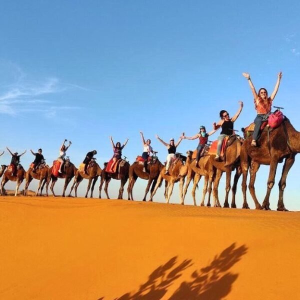 Erg Chebbi Camel Trekking Tour cover image