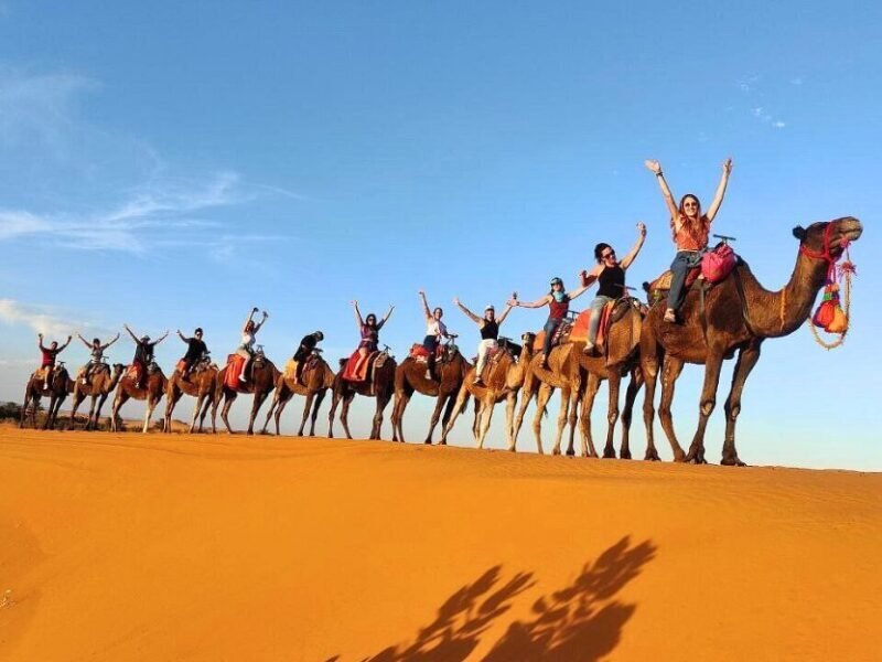 Erg Chebbi Camel Trekking Tour cover image