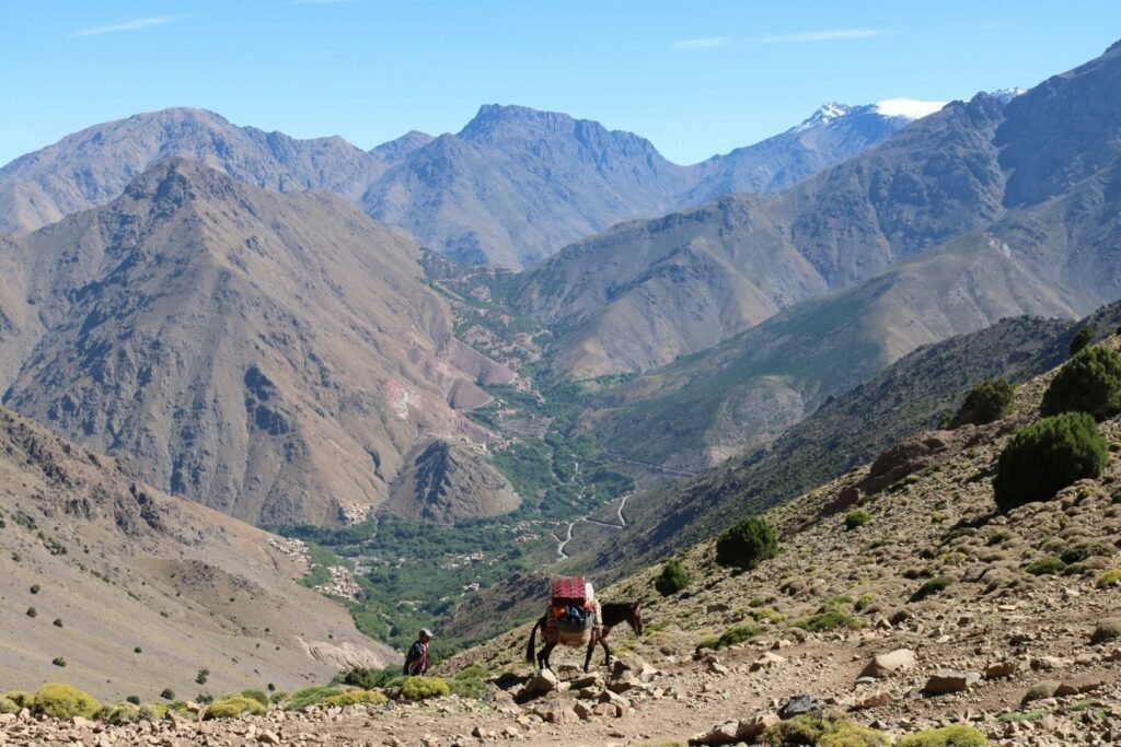Imlil & Atlas Mountains Day Trip cover image