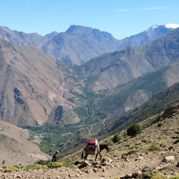 Imlil & Atlas Mountains Day Trip cover image