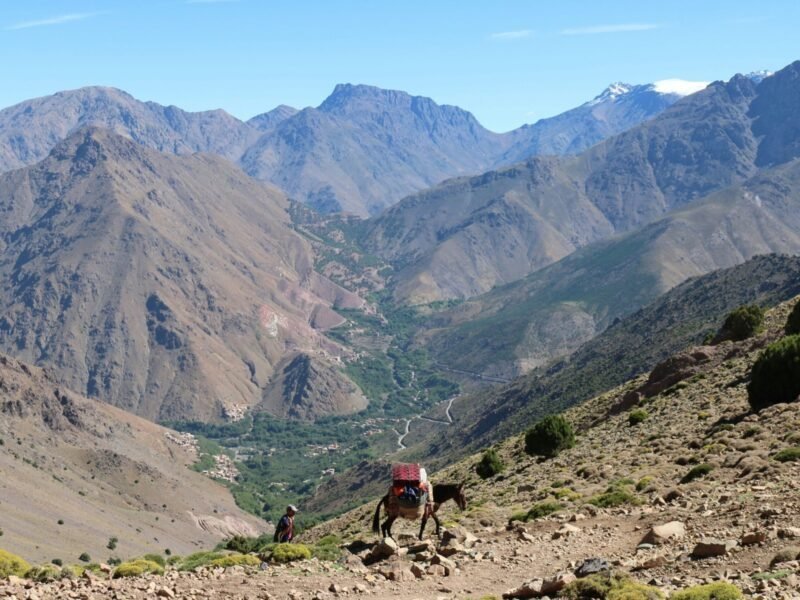 Imlil & Atlas Mountains Day Trip cover image