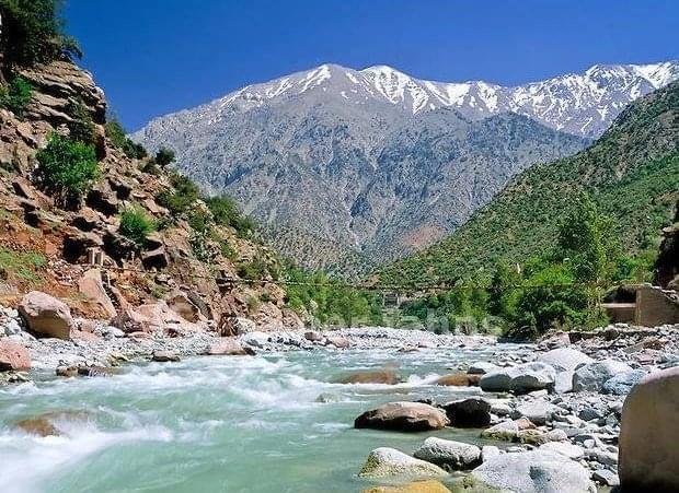 Ourika Valley Day Trip from Marrakech cover image