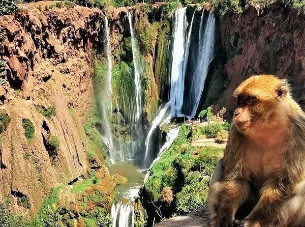 Excursion aux Cascades d&rsquo;Ouzoud depuis Marrakech