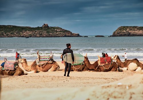 pierre-schulz–leOF2nzJQ8-unsplash peter-schulz--leOF2nzJQ8-unsplash